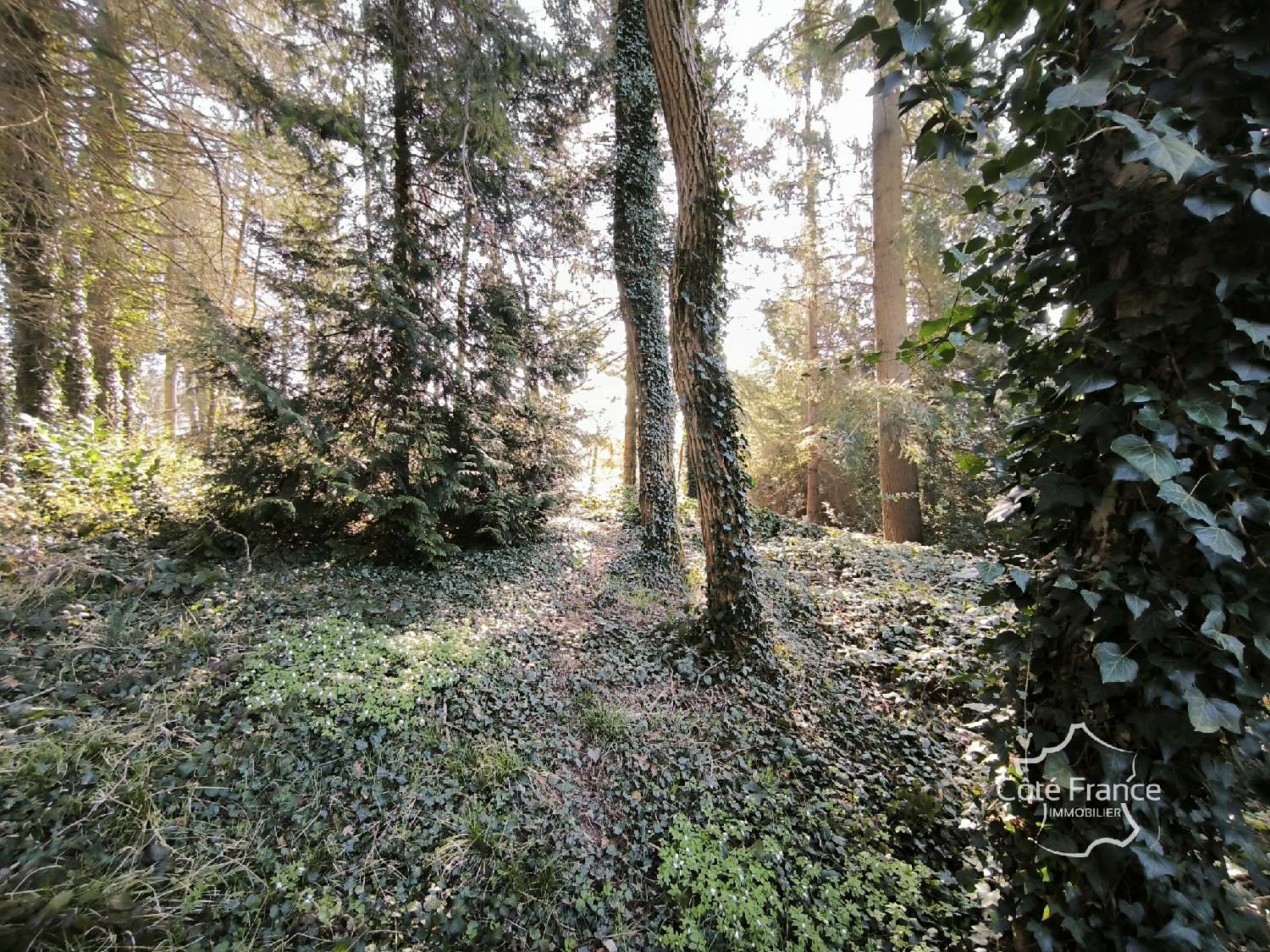  kaufen Haus Fumay Ardennes 8