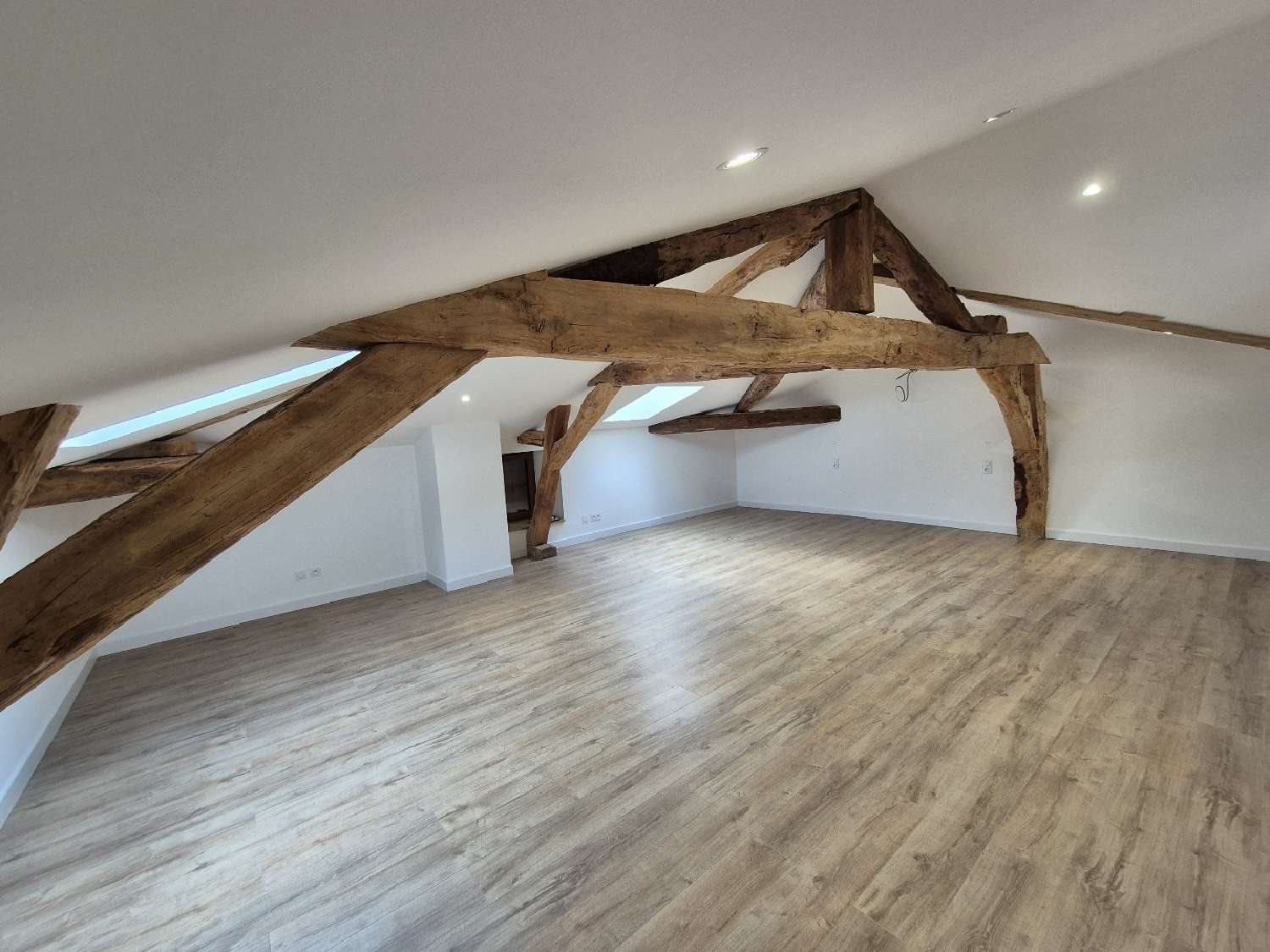  kaufen Haus Ganac Ariège 3