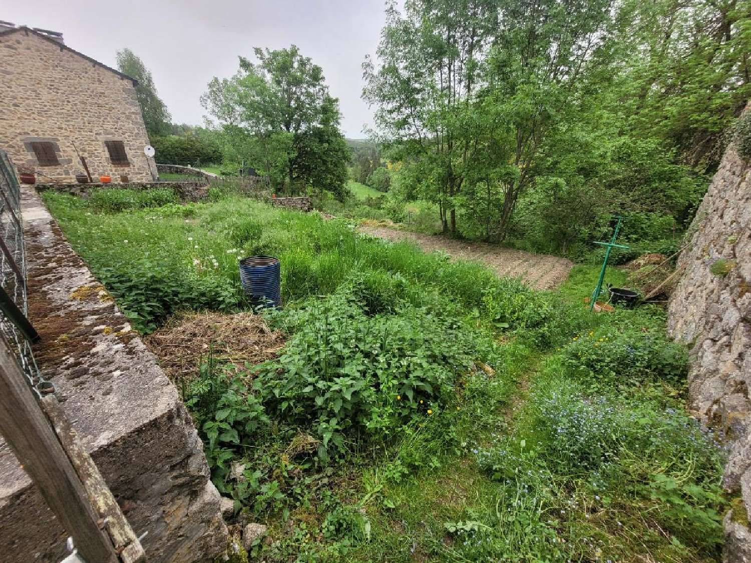  kaufen Haus Grandrieu Lozère 2