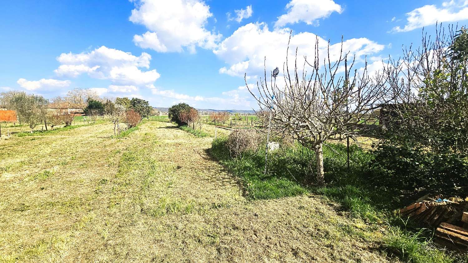  kaufen Haus Grisolles Tarn-et-Garonne 6