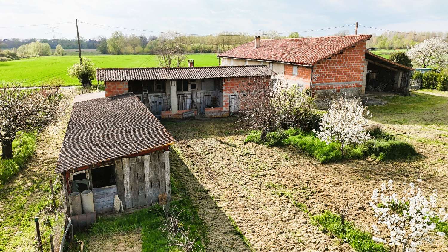  kaufen Haus Grisolles Tarn-et-Garonne 7