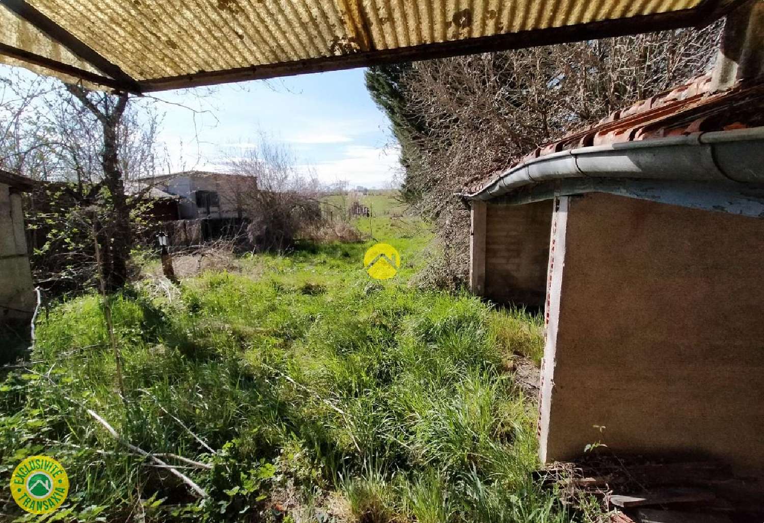  kaufen Haus La Guerche-sur-l'Aubois Cher 3