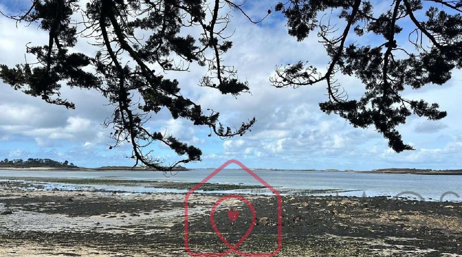  kaufen Haus Landéda Finistère 5