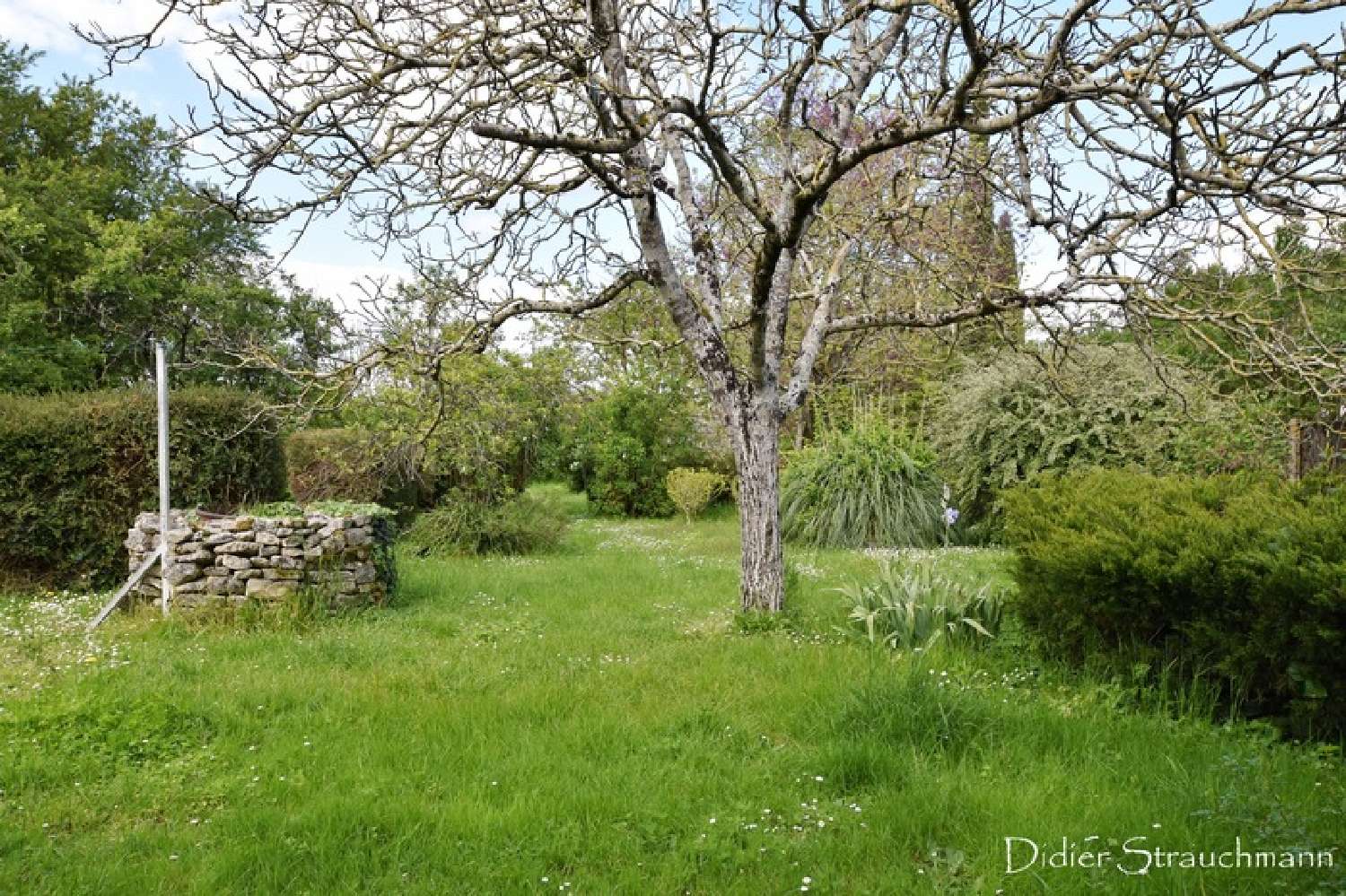  kaufen Haus Landrais Charente-Maritime 2