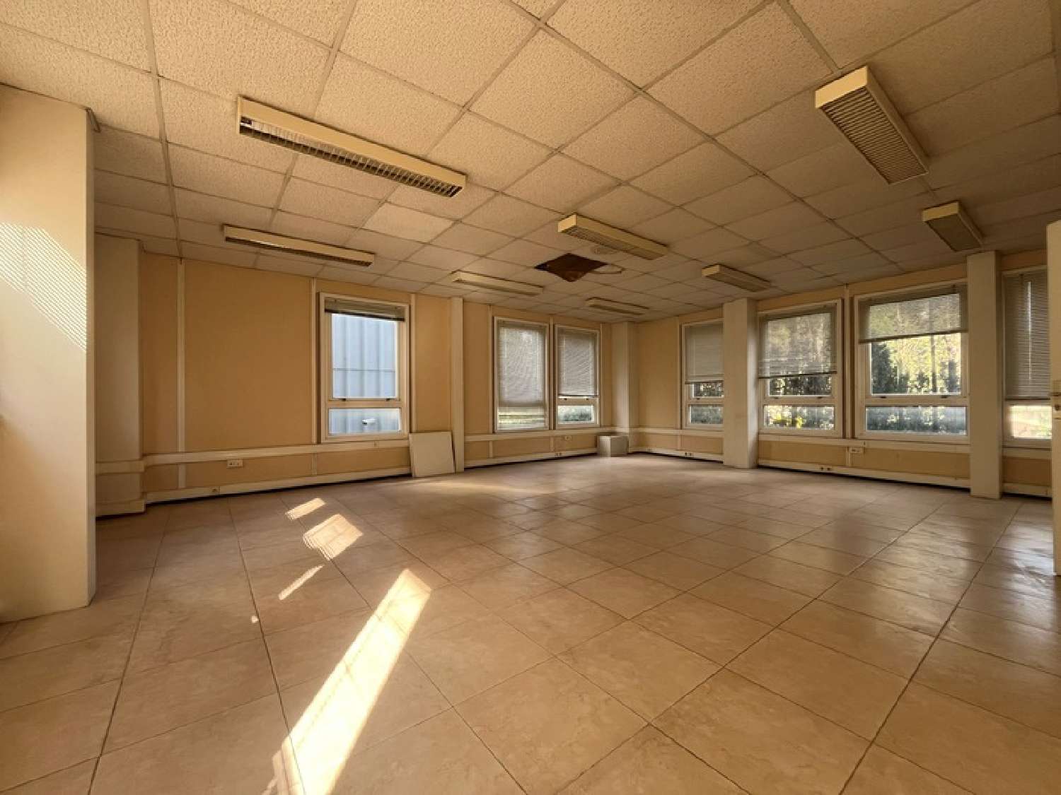  for sale office Le Cannet Alpes-Maritimes 6