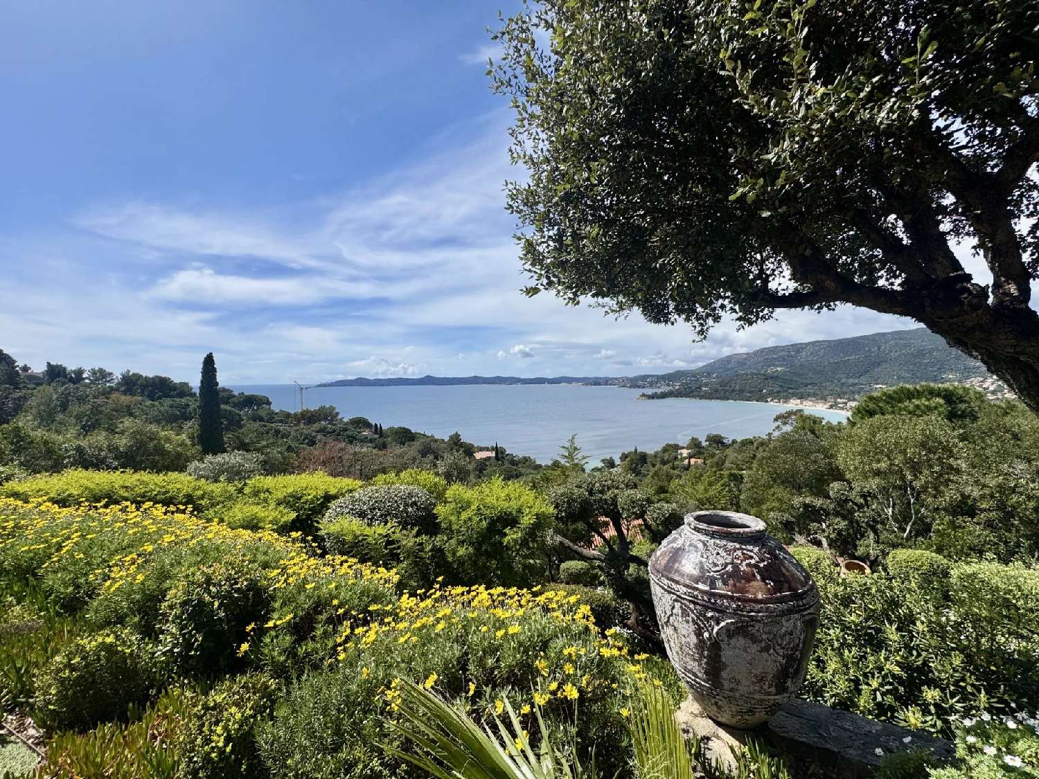  kaufen Haus Le Lavandou Var 7