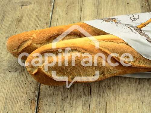 Le Puy-Saint-Bonnet Maine-et-Loire Haus Bild 7055328