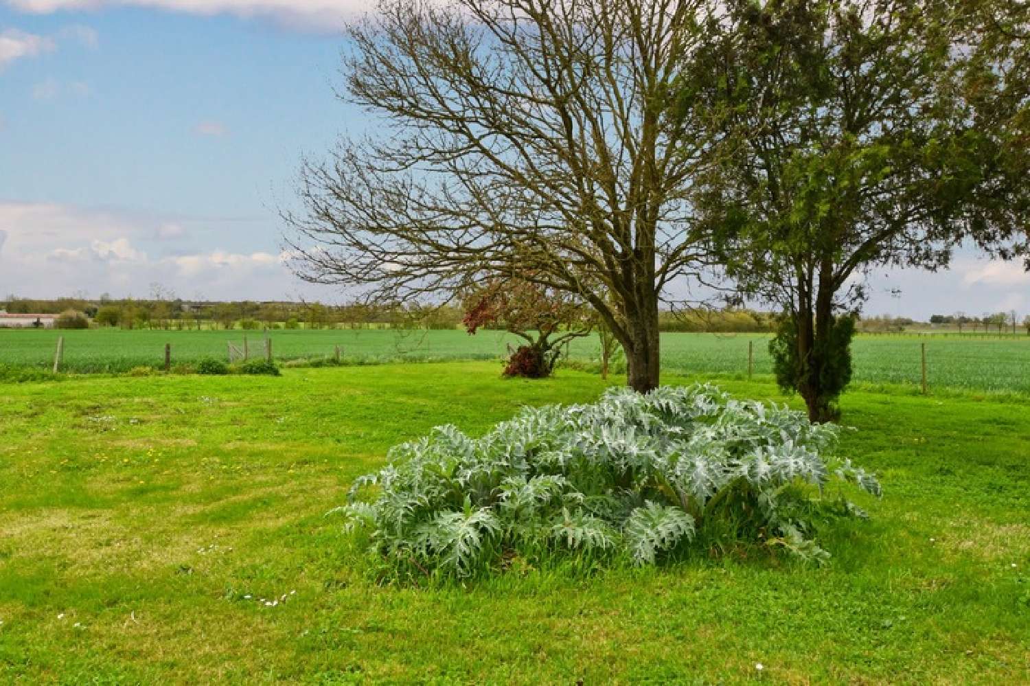  kaufen Haus Le Thou Charente-Maritime 4