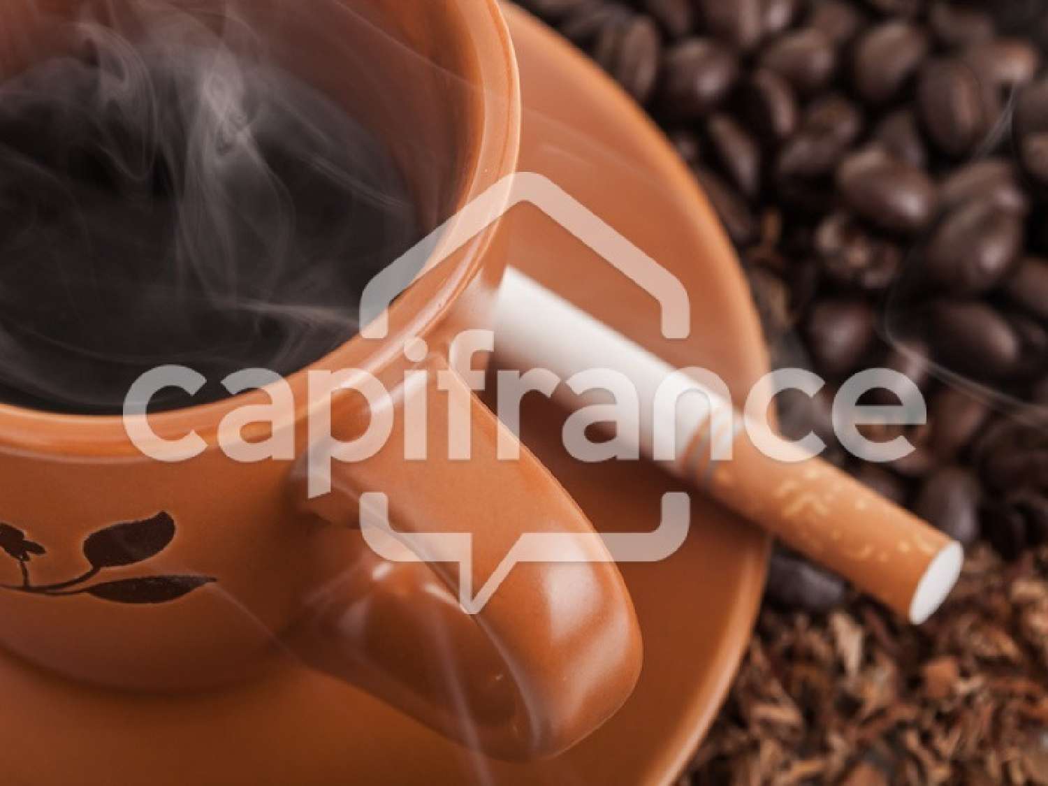  kaufen Haus Les Herbiers Vendée 2
