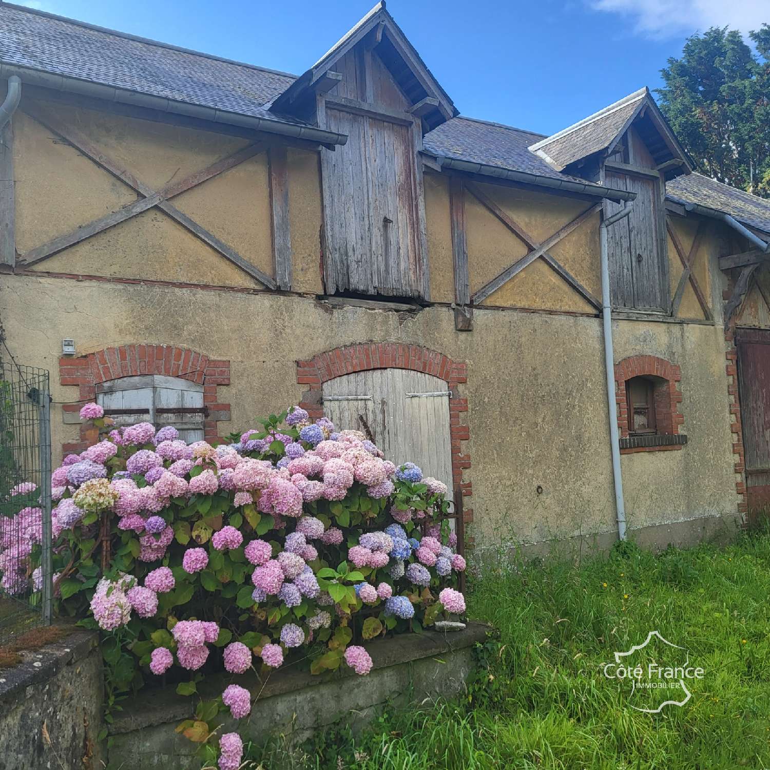 kaufen Haus Lison Calvados 3