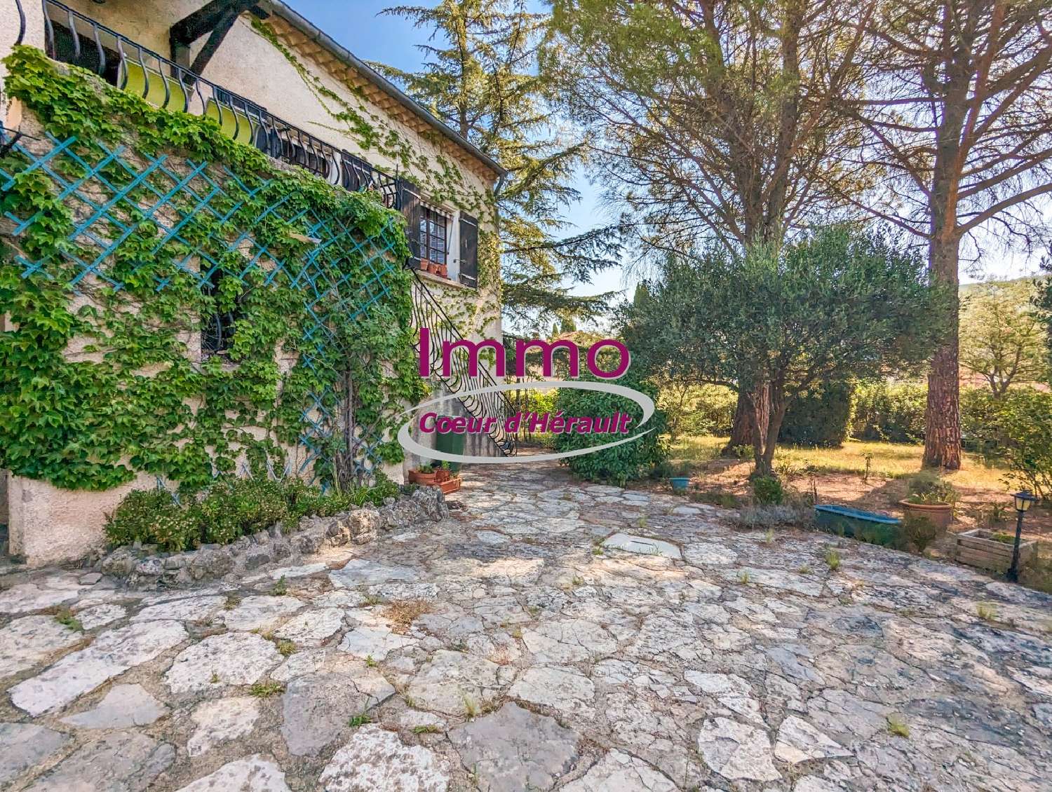  kaufen Haus Lodève Hérault 3
