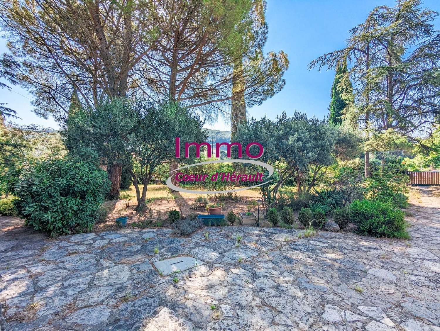  kaufen Haus Lodève Hérault 4