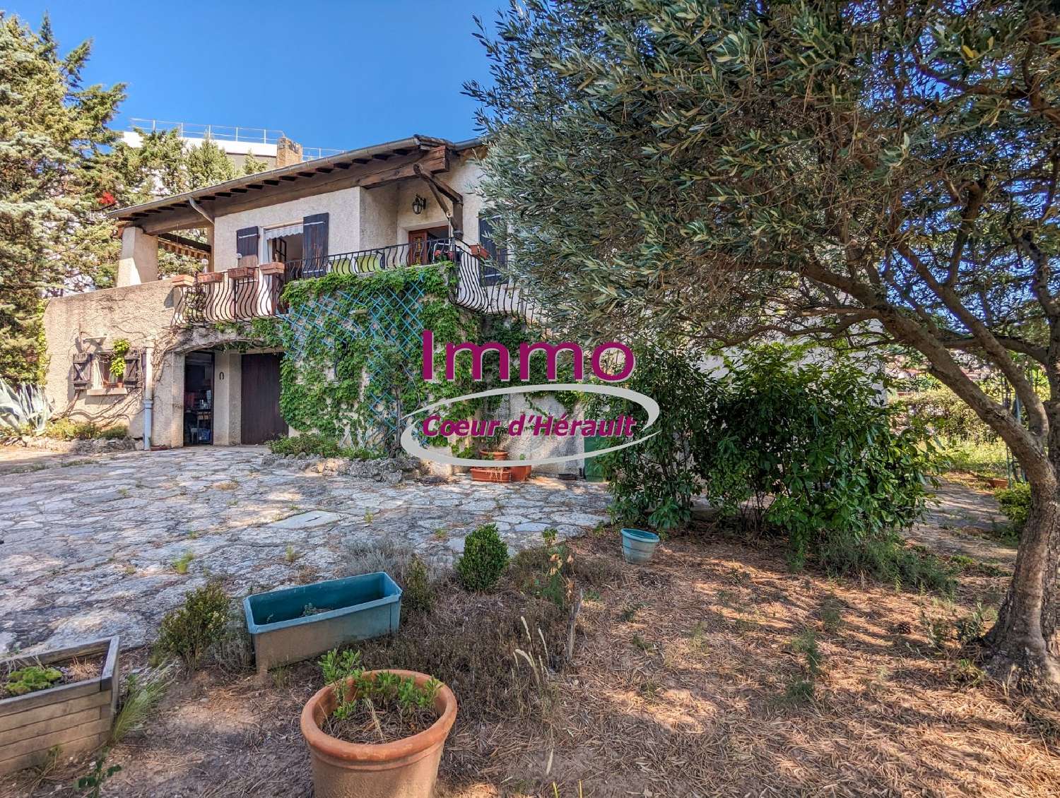  kaufen Haus Lodève Hérault 6