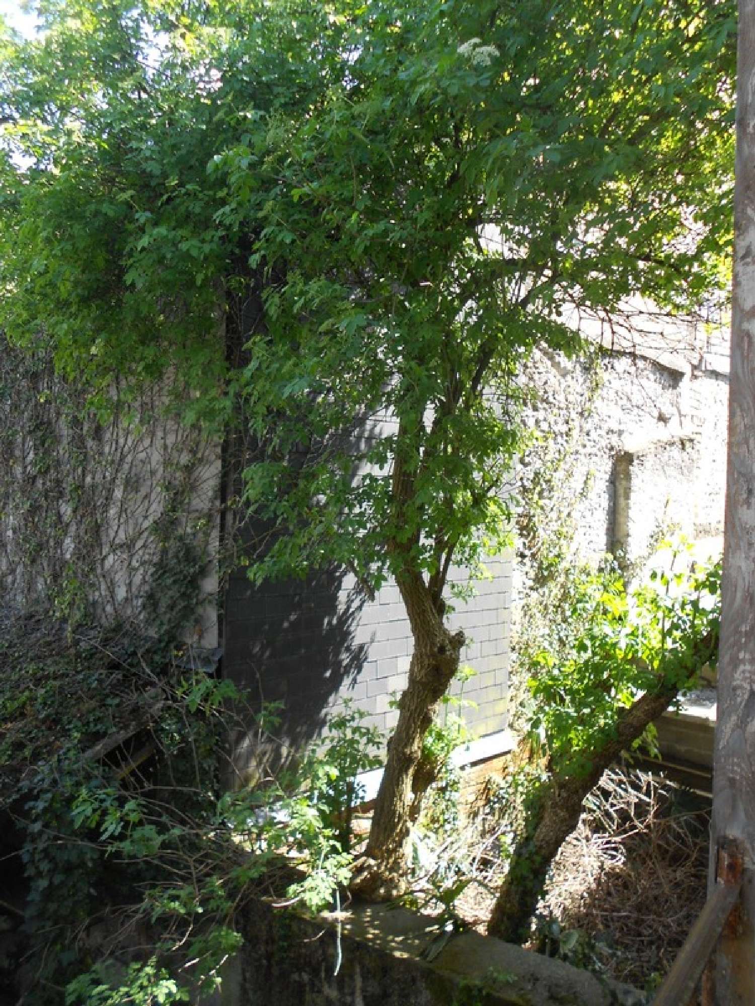  kaufen Haus Lourdes Hautes-Pyrénées 3