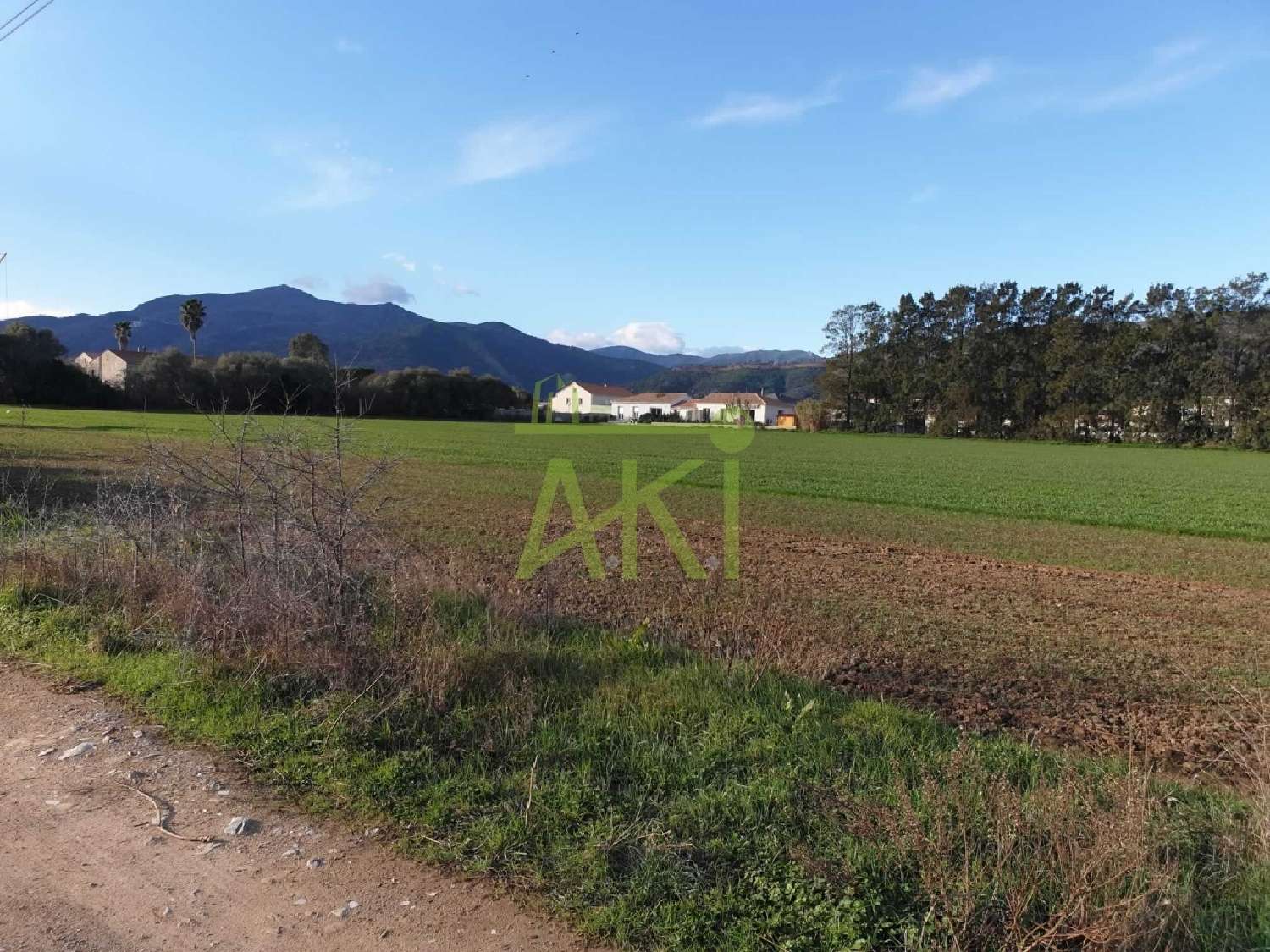  à vendre maison Lucciana Haute-Corse 4