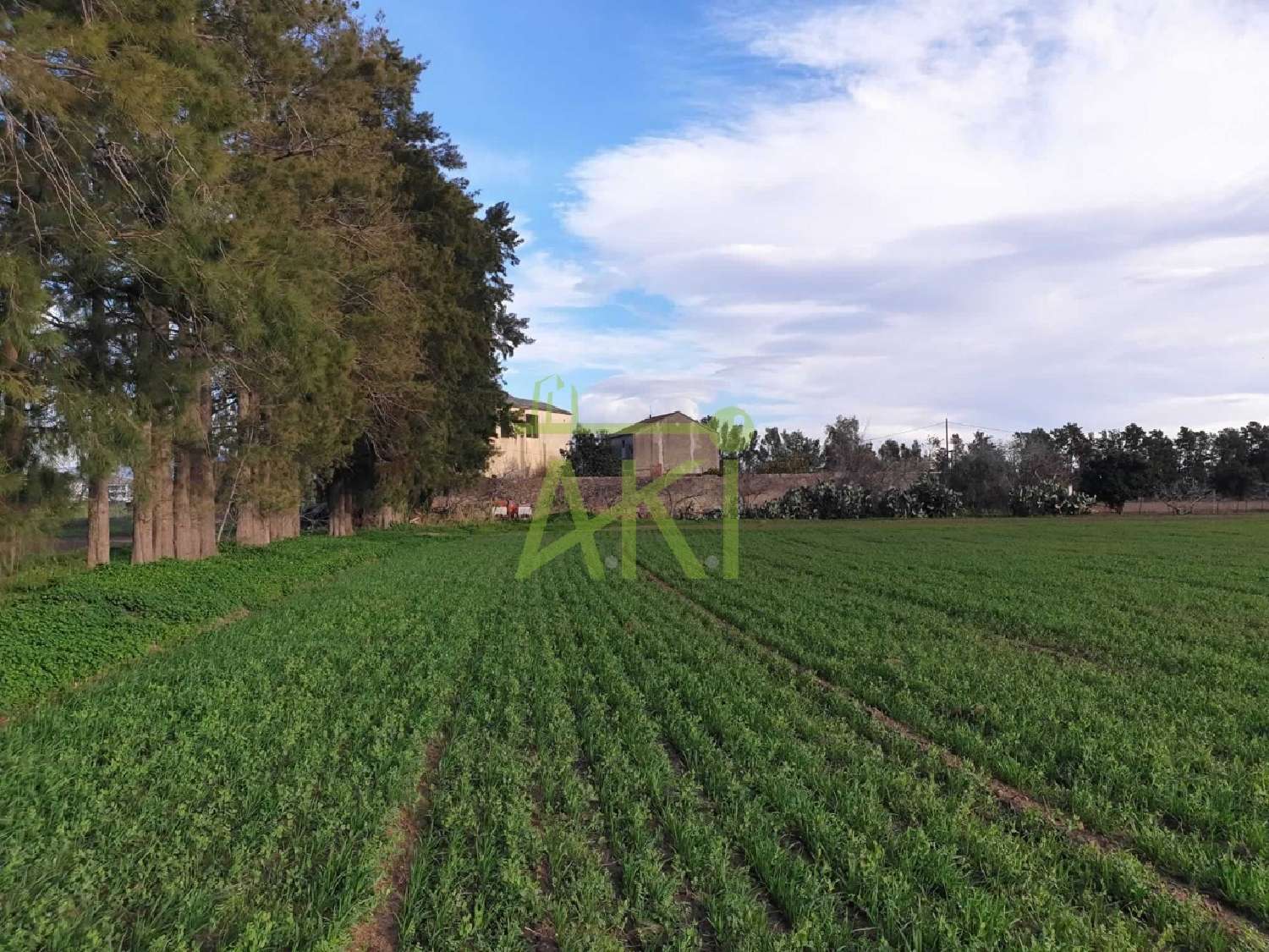  à vendre maison Lucciana Haute-Corse 5