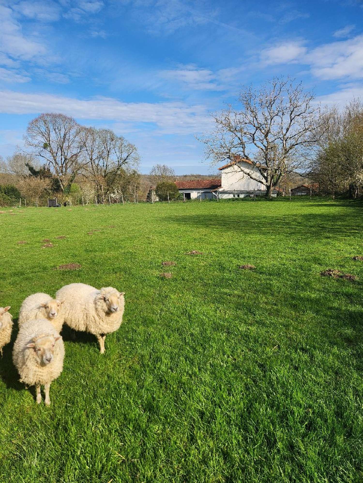  kaufen Haus Mazières Charente 3