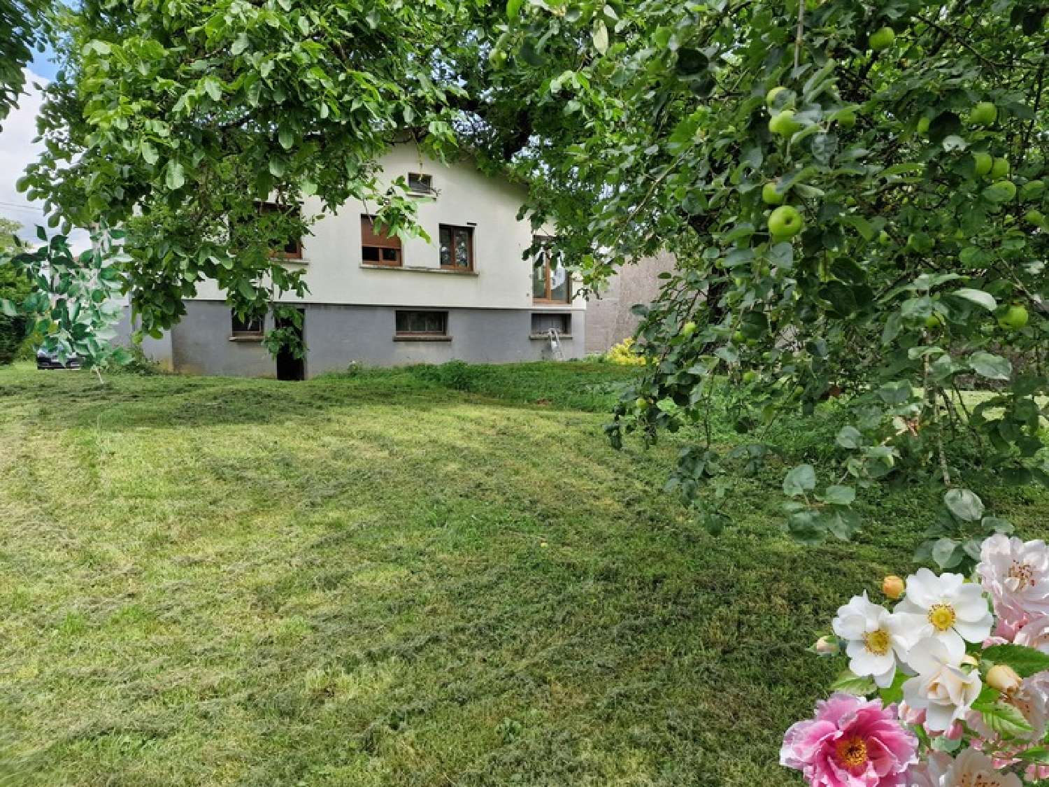  kaufen Haus Mirecourt Vogesen 1