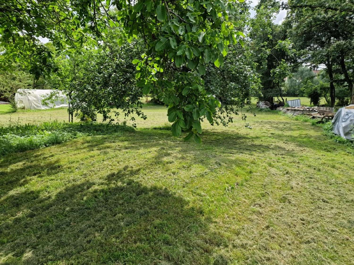  kaufen Haus Mirecourt Vogesen 2