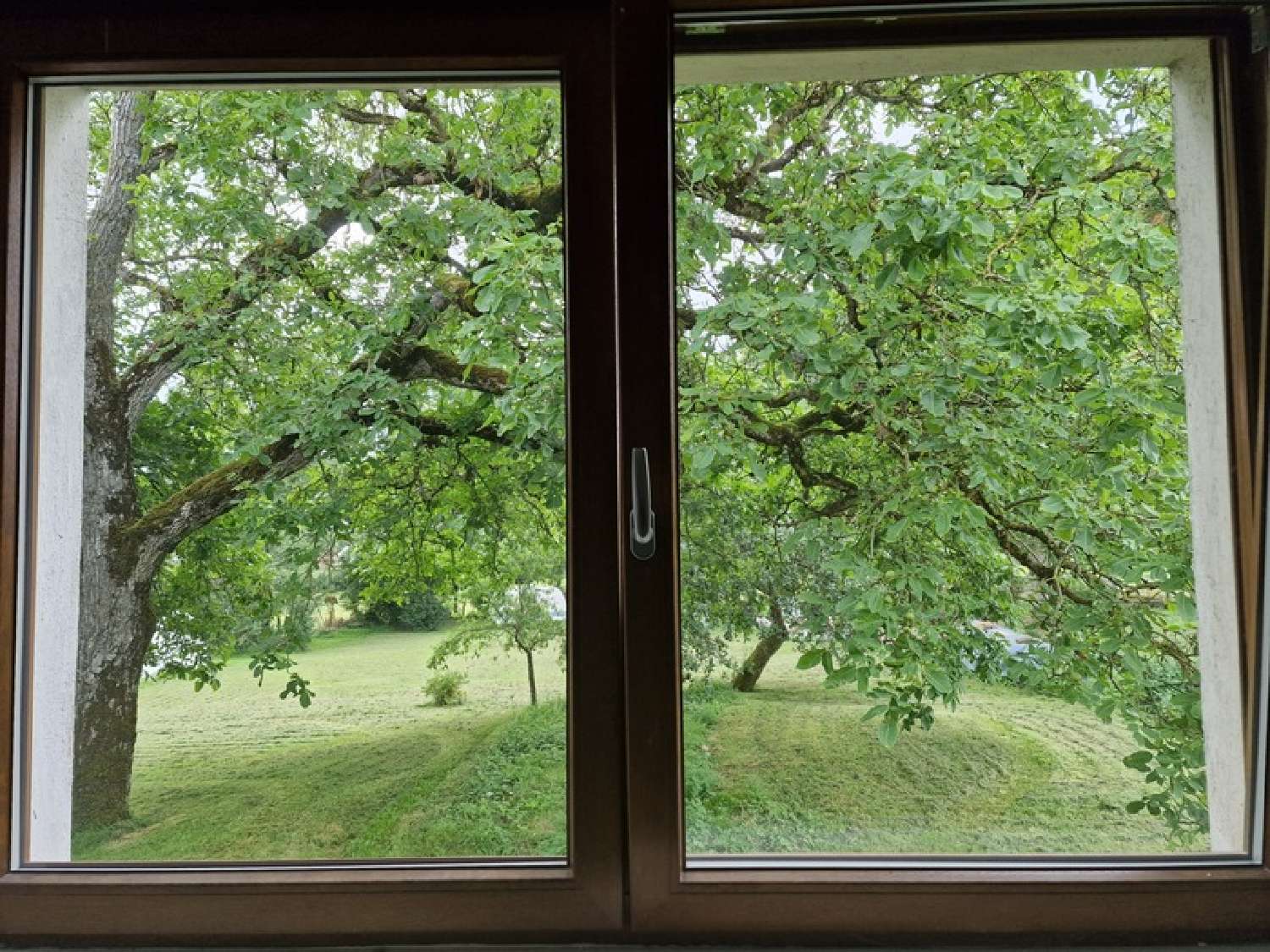  kaufen Haus Mirecourt Vogesen 4