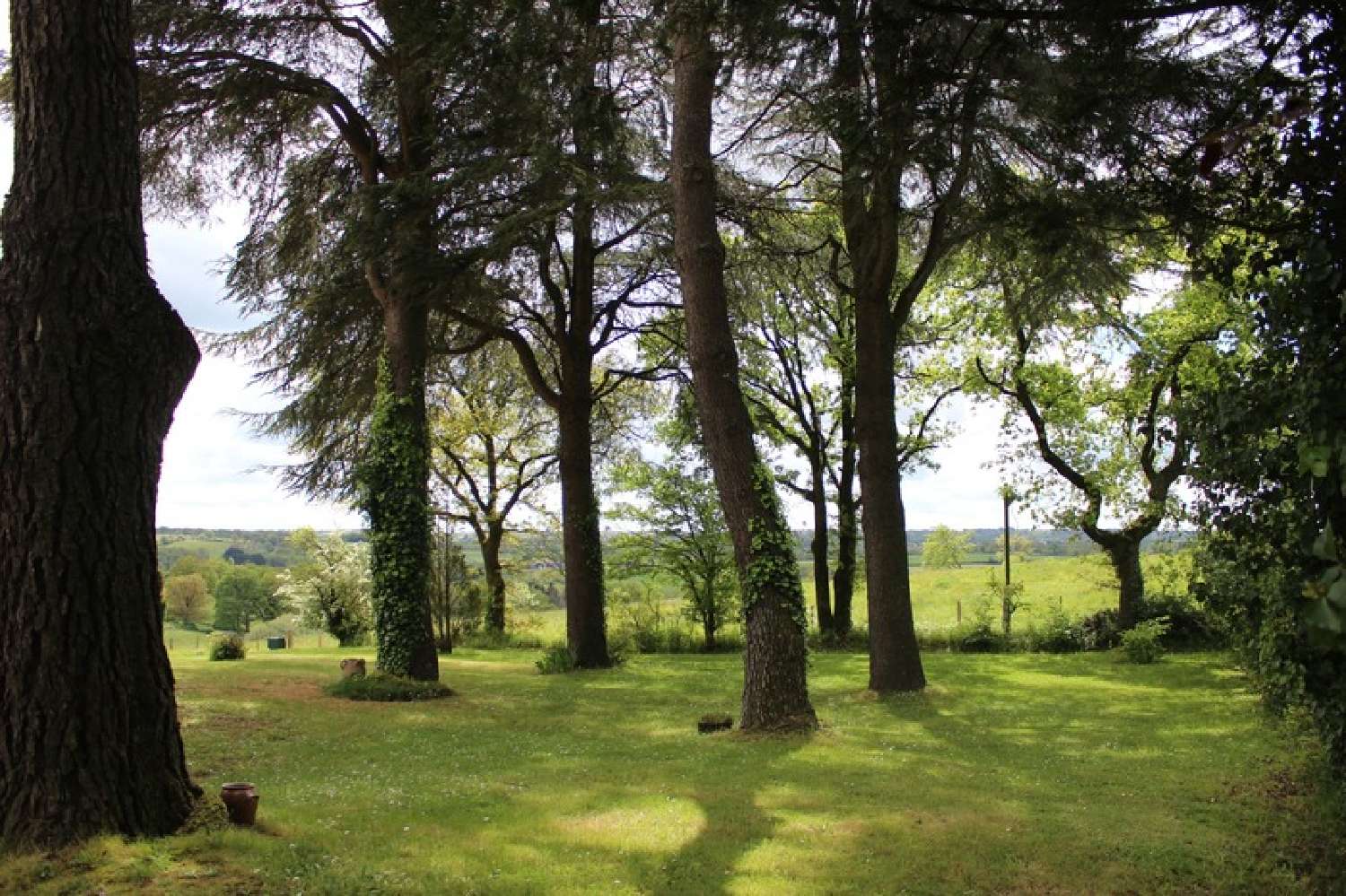  te koop huis Mortagne-sur-Sèvre Vendée 3