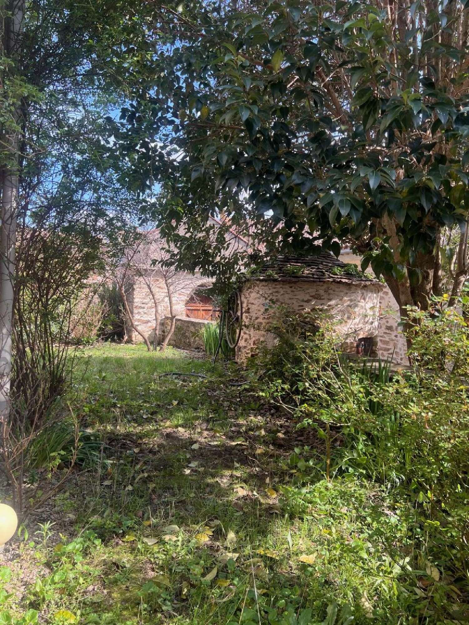  kaufen Haus Olargues Hérault 2