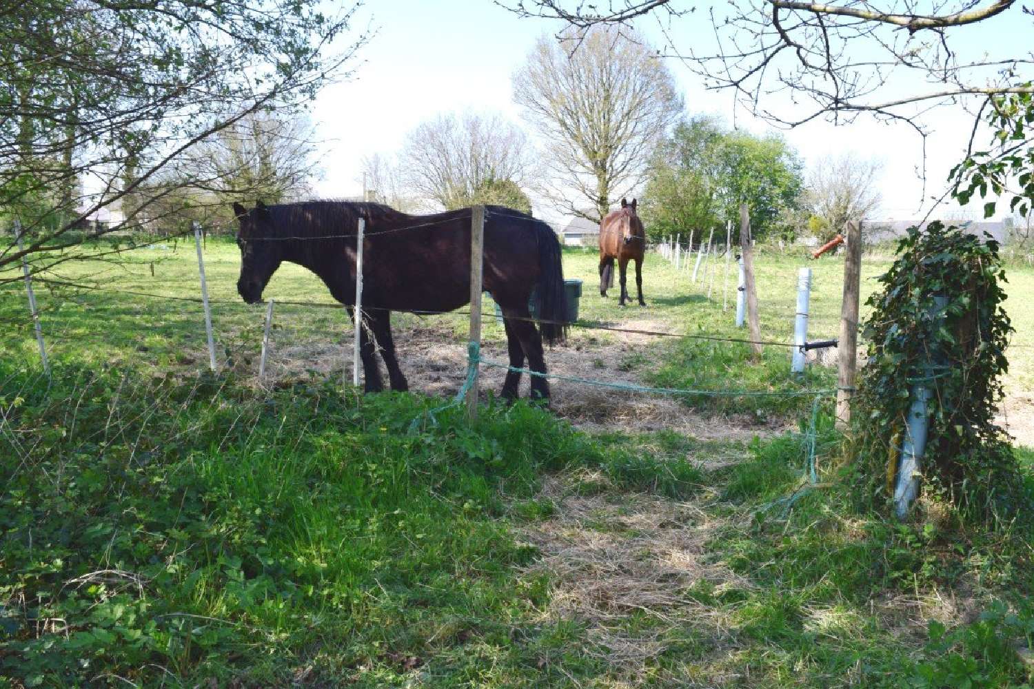  kaufen Haus Plouguenast Côtes-d'Armor 3