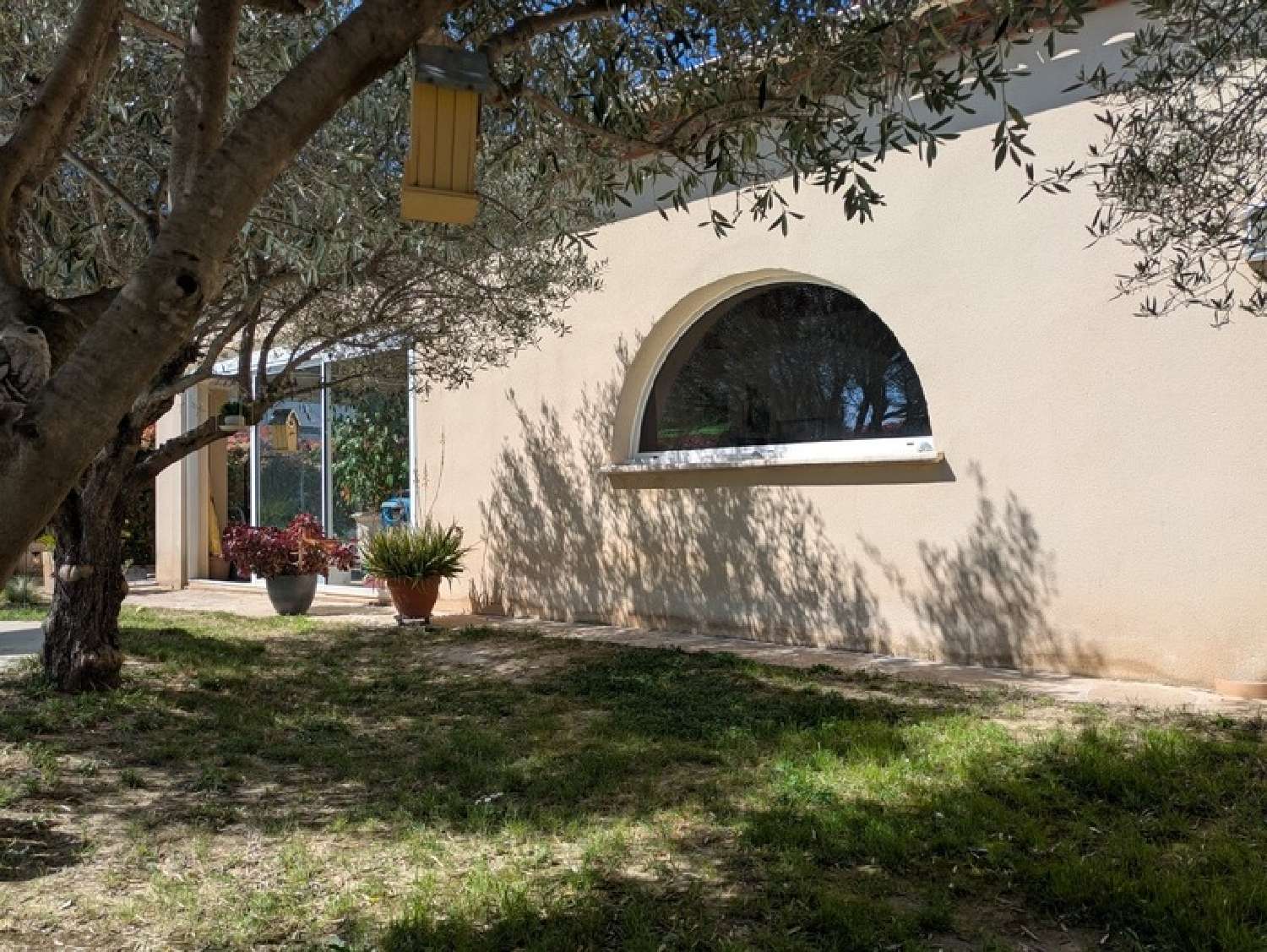  kaufen Haus Saint-Bauzille-de-Montmel Hérault 2
