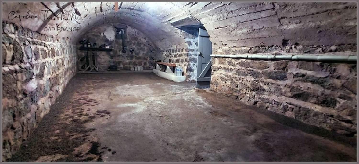  kaufen Haus Saint-Bonnet-des-Quarts Loire 7