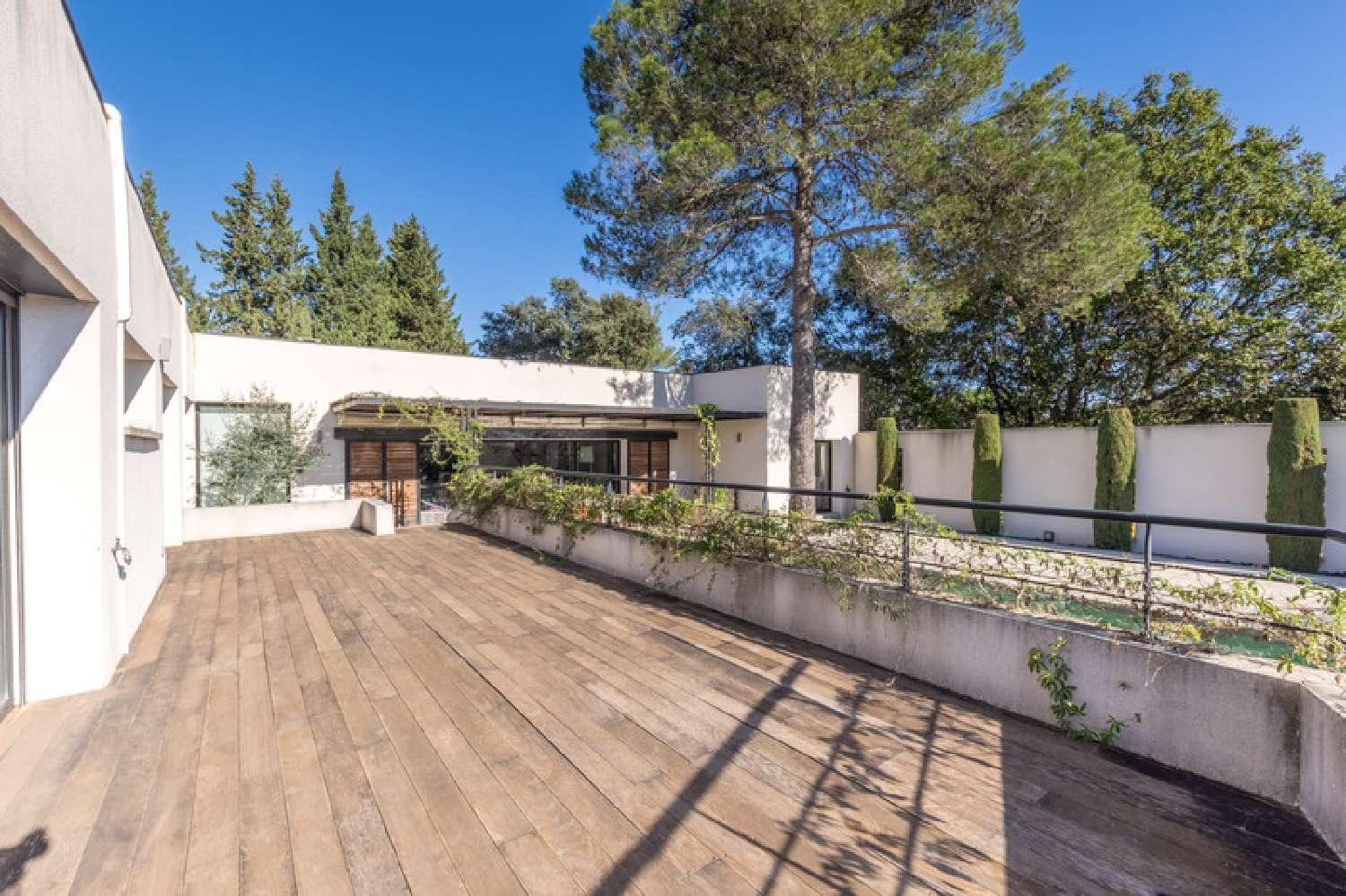  à vendre maison Murles Hérault 5