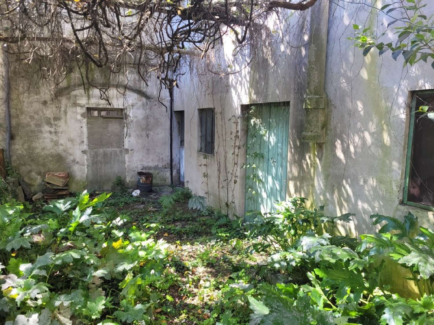  kaufen Haus Saint-Martin-de-Valgalgues Gard 3