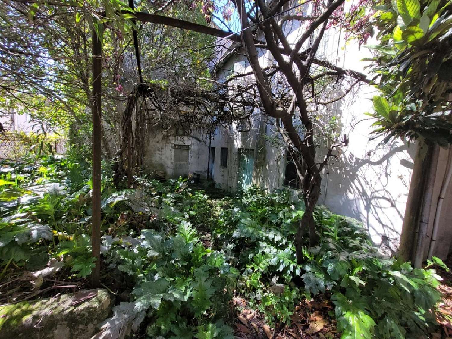  kaufen Haus Saint-Martin-de-Valgalgues Gard 4