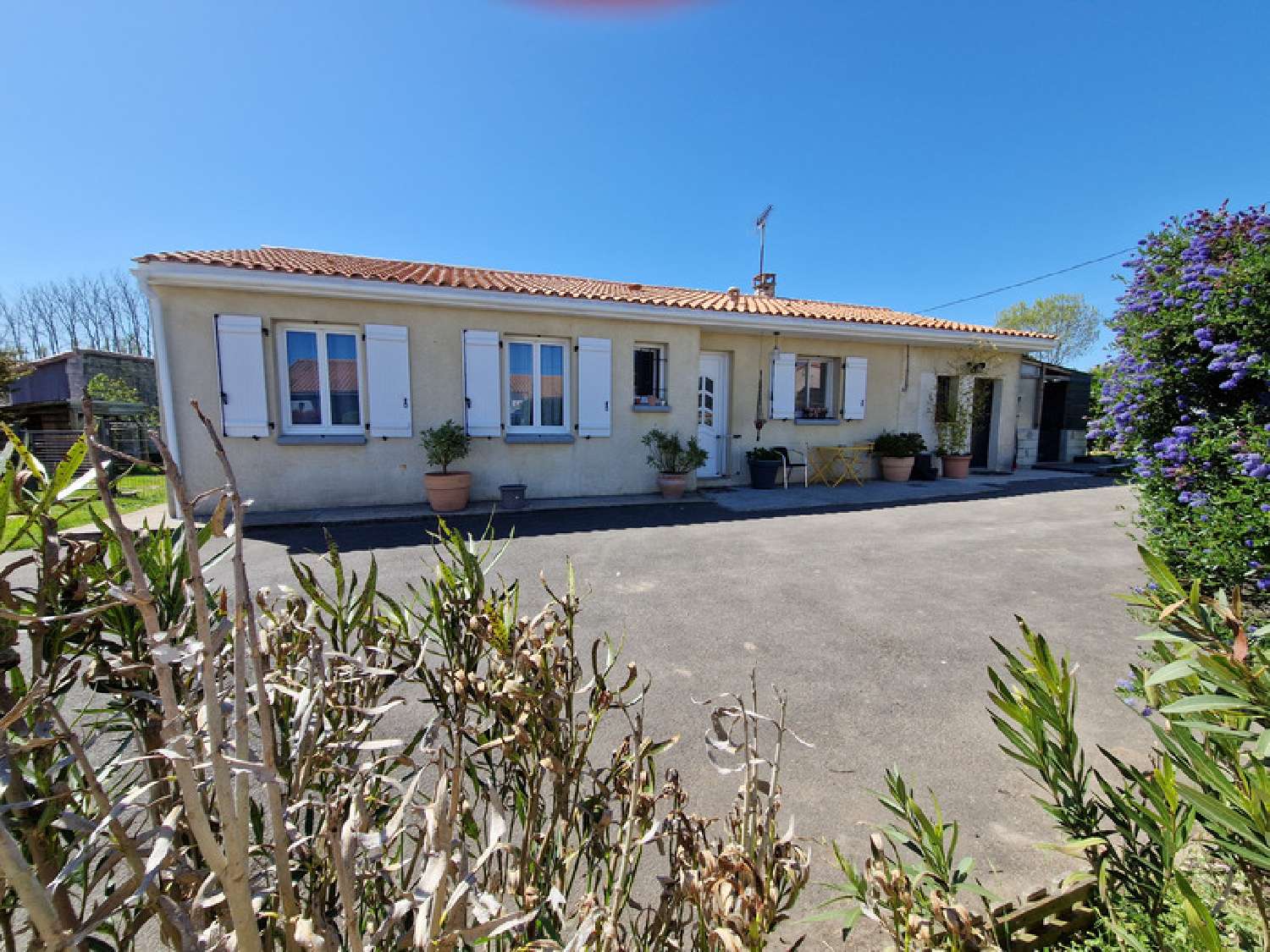  kaufen Haus Saint-Médard-d'Aunis Charente-Maritime 1