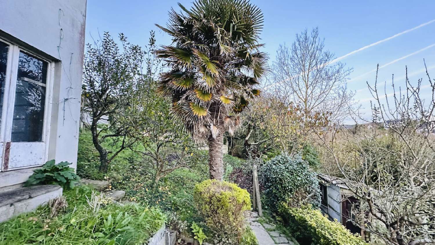  kaufen Haus Saint-Nic Finistère 3