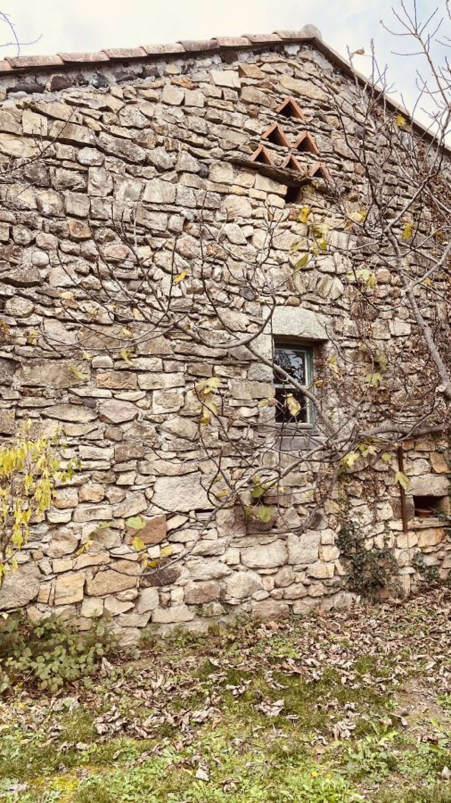  kaufen Haus Saint-Privat Ardèche 4