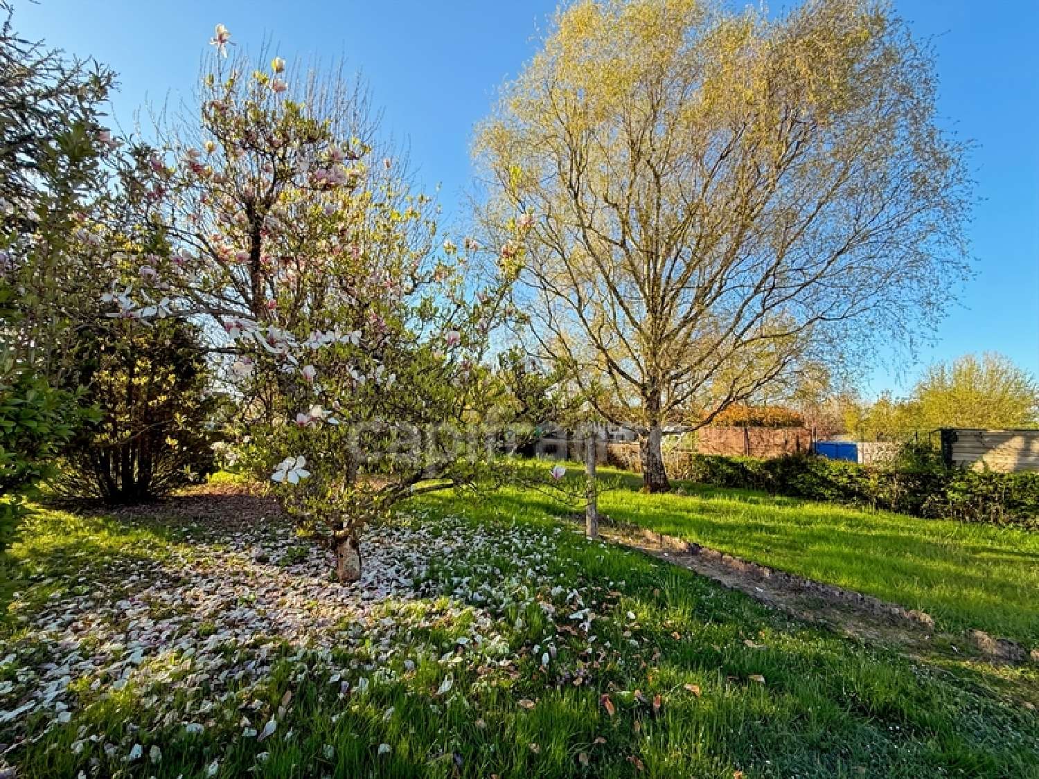  kaufen Haus Saint-Vallier Saône-et-Loire 4