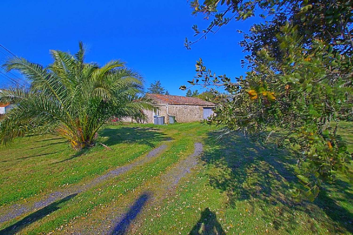  kaufen Haus Sainte-Foy Vendée 2