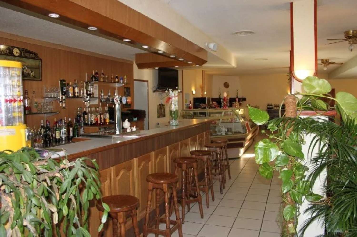  kaufen Haus Valdurenque Tarn 4