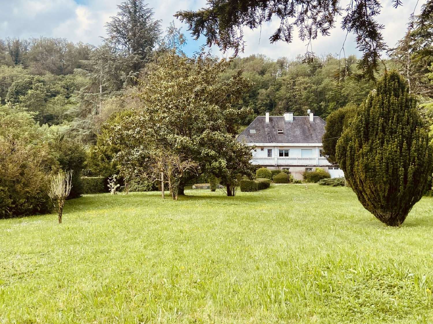  kaufen Haus Vendôme Loir-et-Cher 1