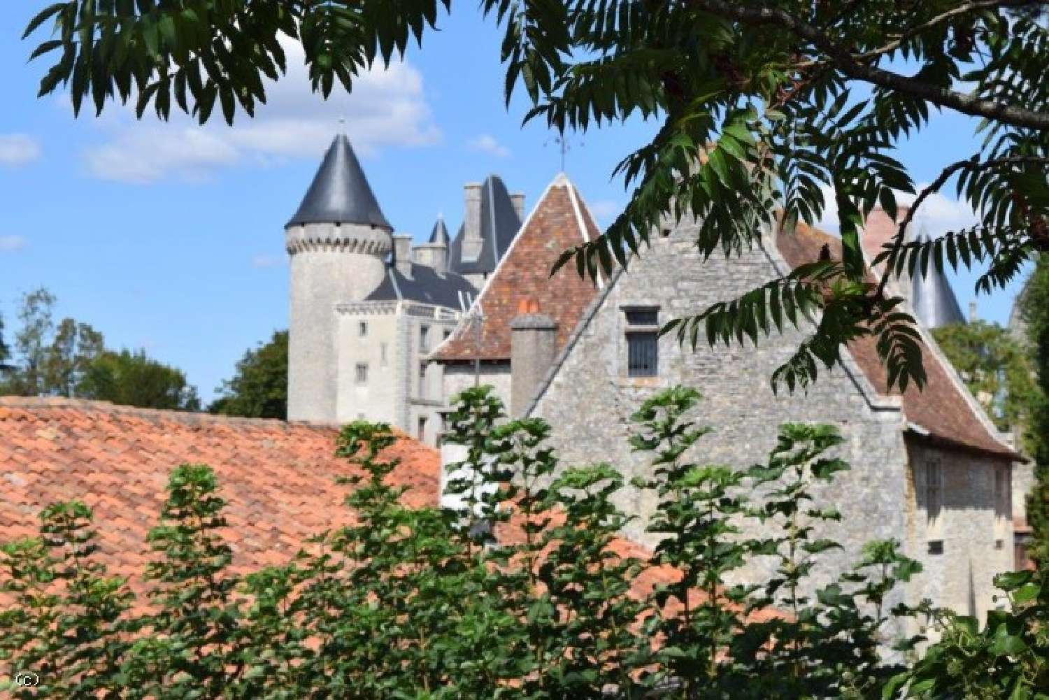  kaufen Haus Verteuil-sur-Charente Charente 3
