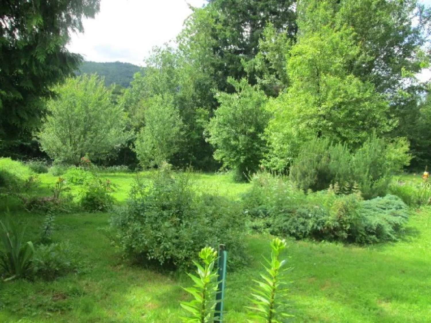  kaufen Haus Viane Tarn 4