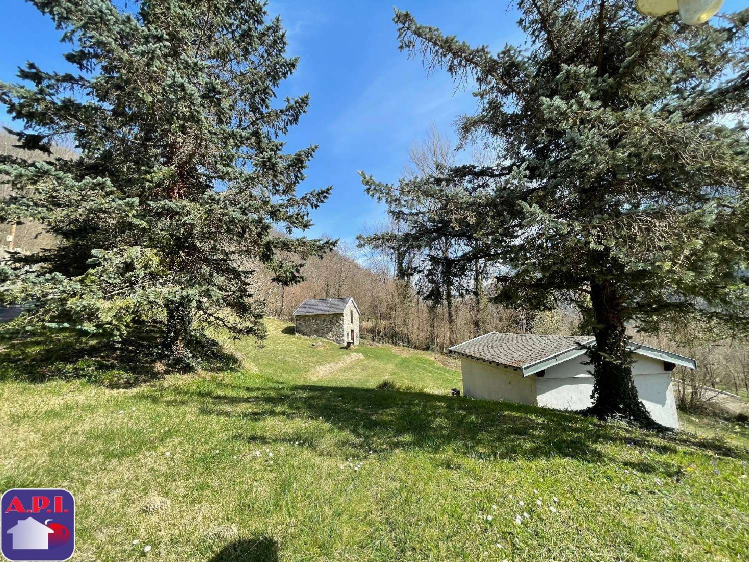  kaufen Haus Vicdessos Ariège 5