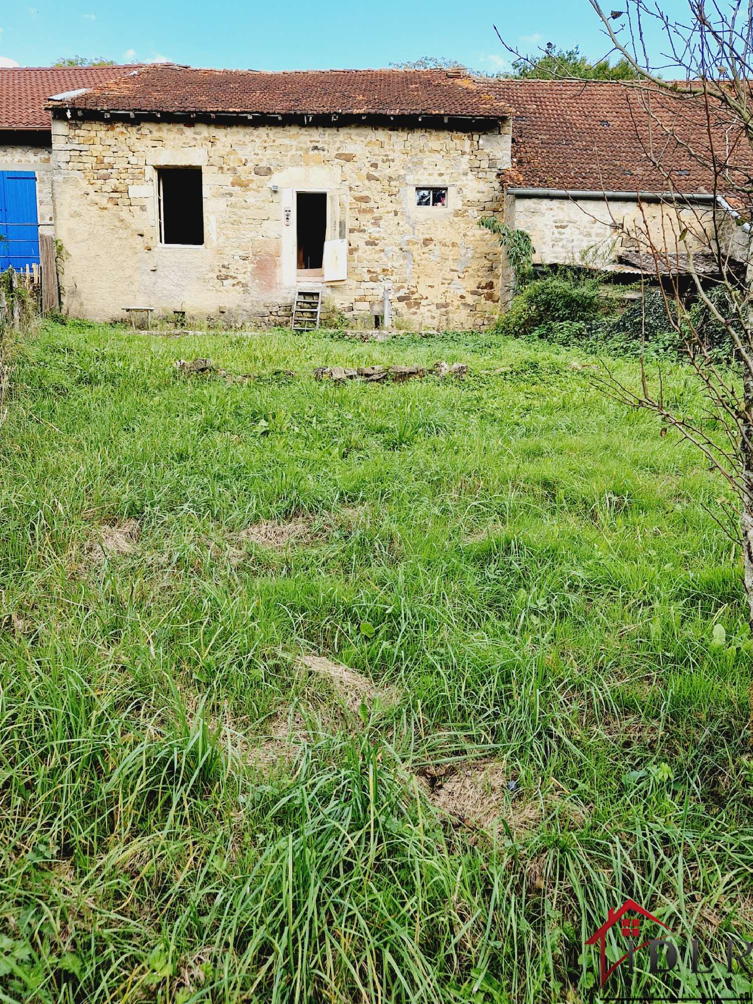  kaufen Haus Vicq Haute-Marne 2