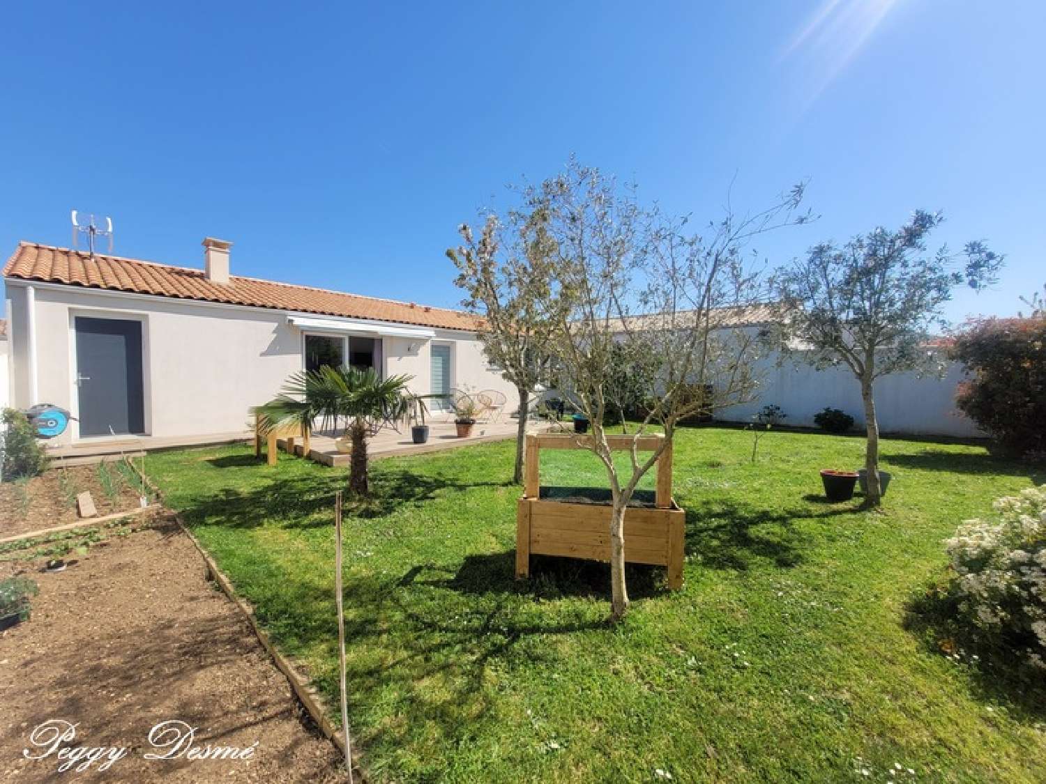  kaufen Haus Villedoux Charente-Maritime 1