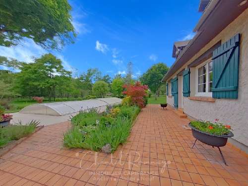 Loreux Loir-et-Cher Haus Bild 7054506