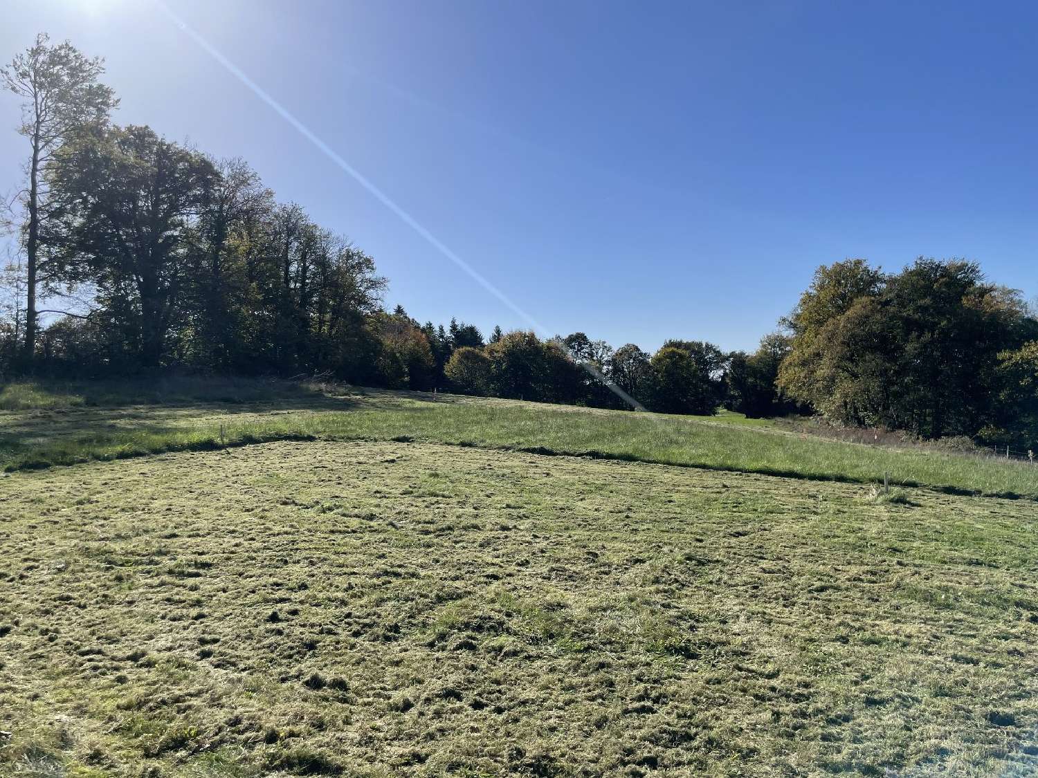  kaufen Grundstück Bonnac-la-Côte Haute-Vienne 3