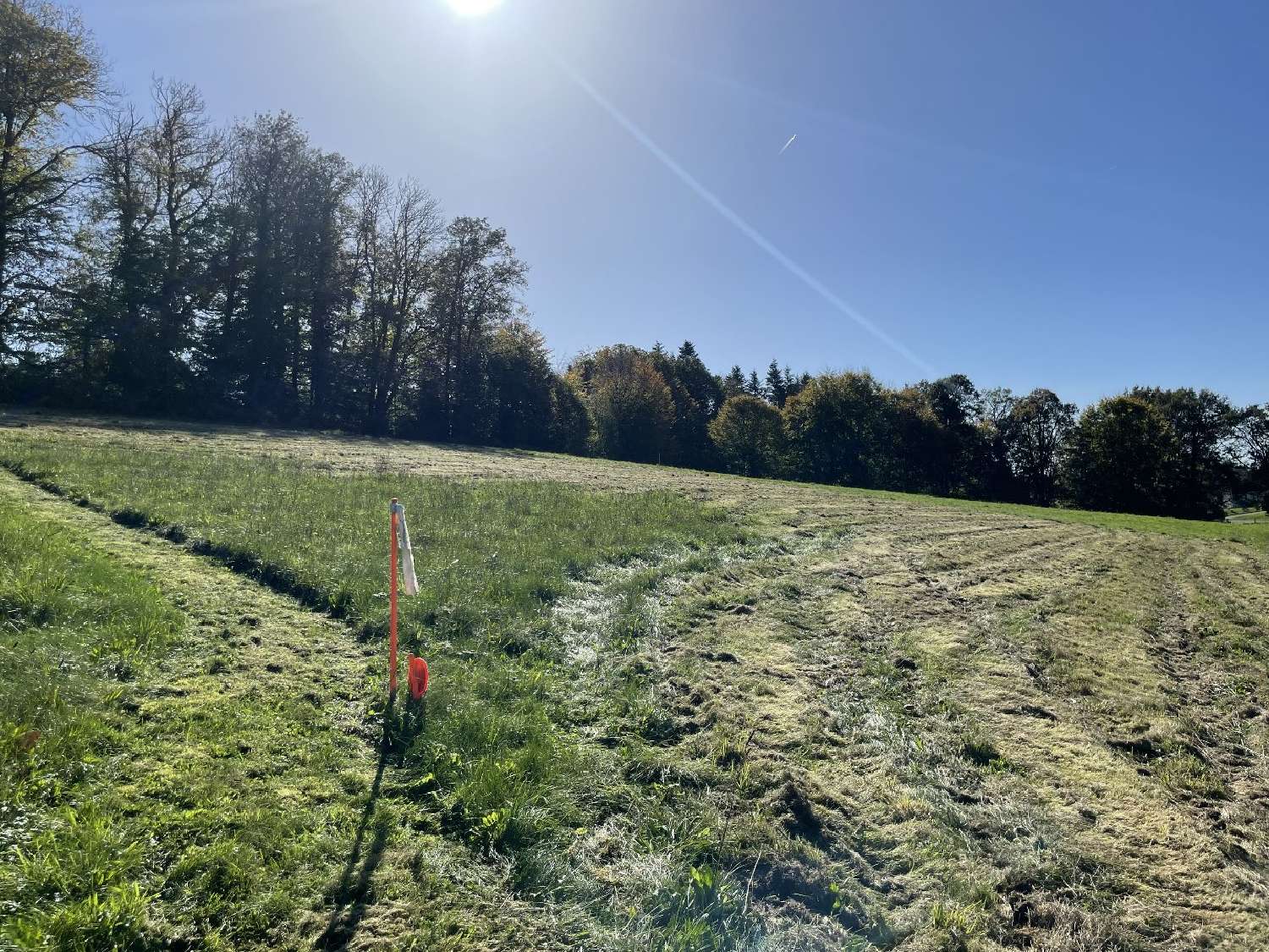  kaufen Grundstück Bonnac-la-Côte Haute-Vienne 4