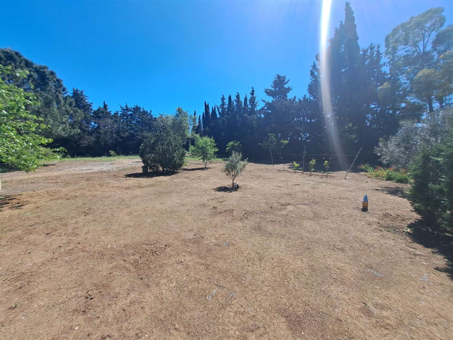  kaufen Grundstück Florensac Hérault 6