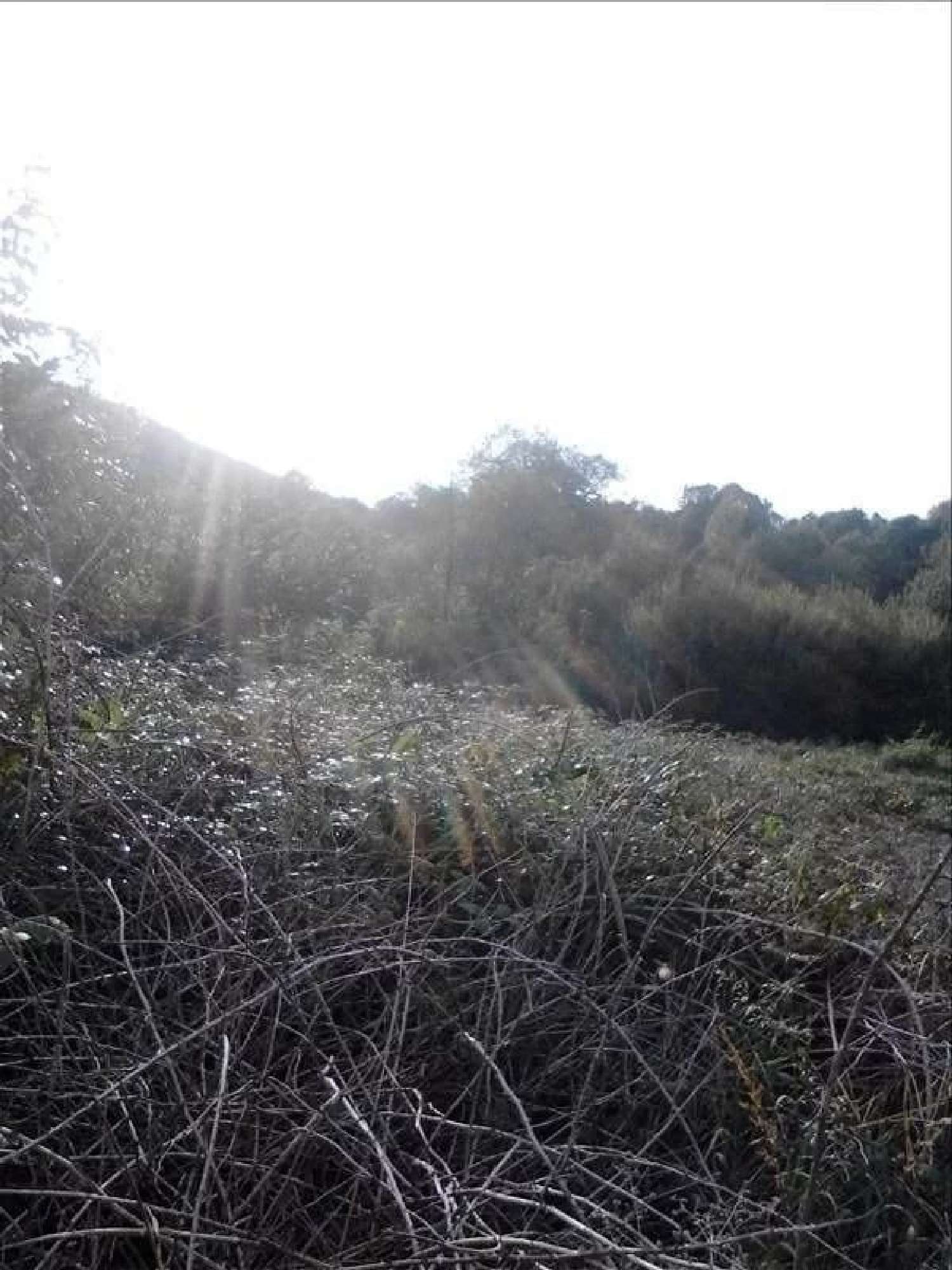 kaufen Grundstück Saint-Amans-Soult Tarn 1