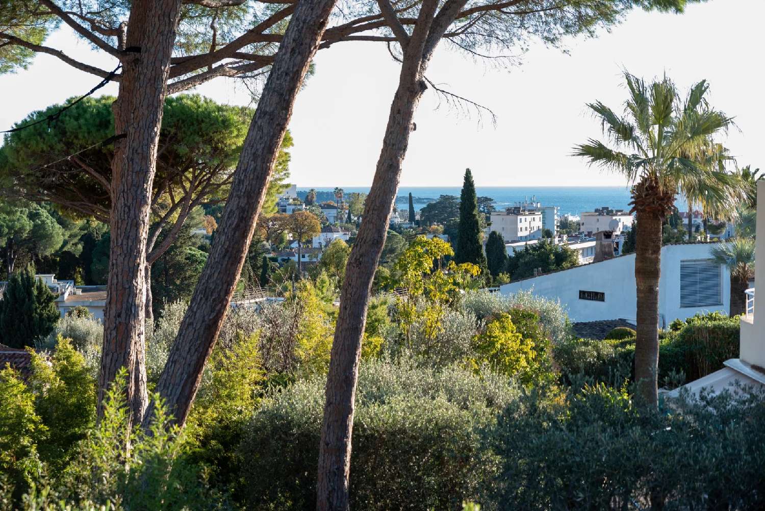  kaufen Villa Cannes Alpes-Maritimes 4